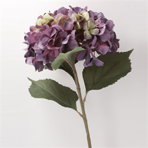 Gisela Graham Antique  Giant Hydrangea